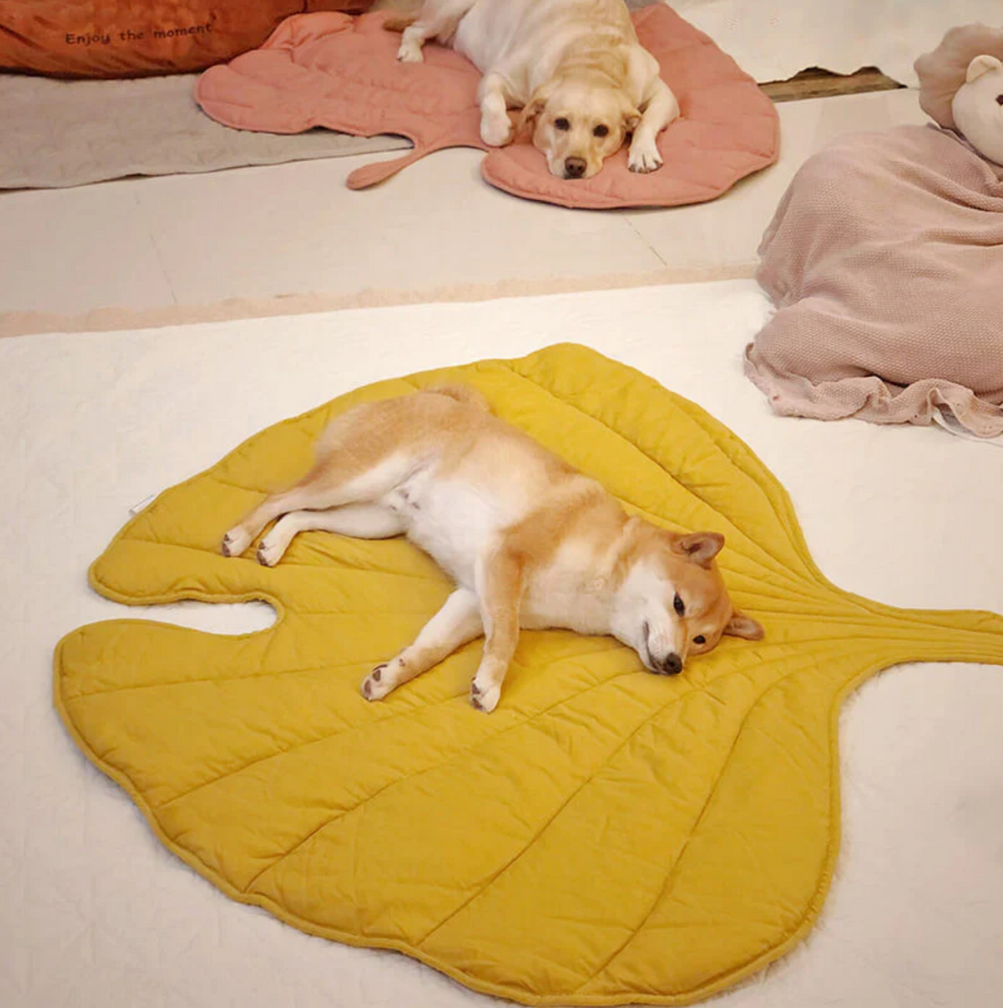 Leaf shape dog blanker