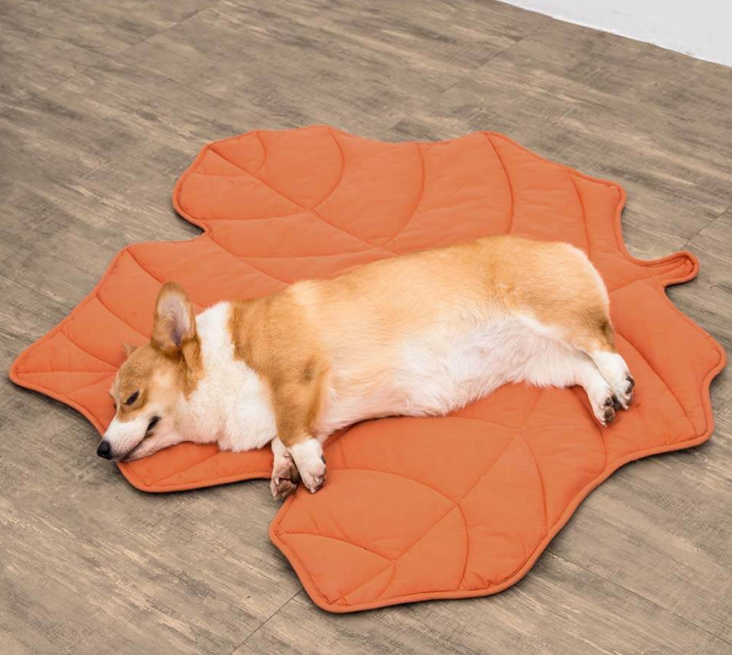 Leaf shape dog blanker