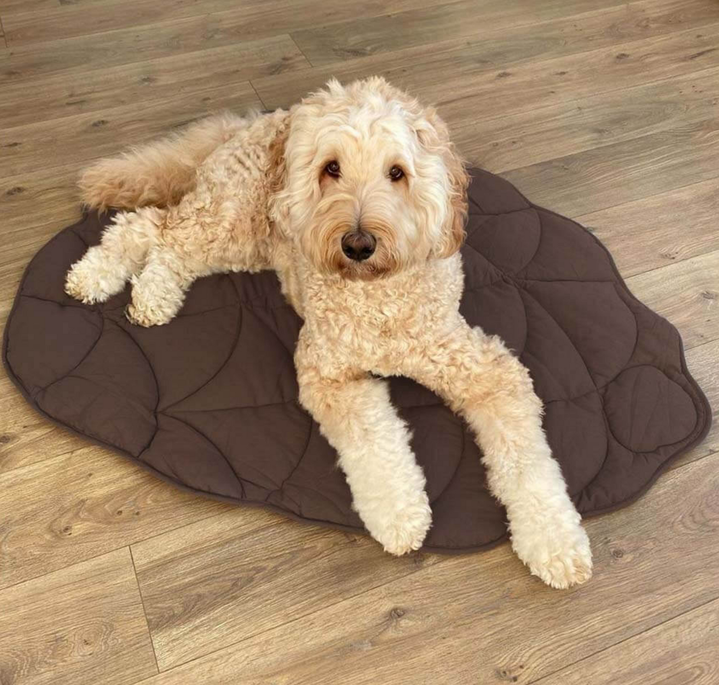 Leaf shape dog blanker