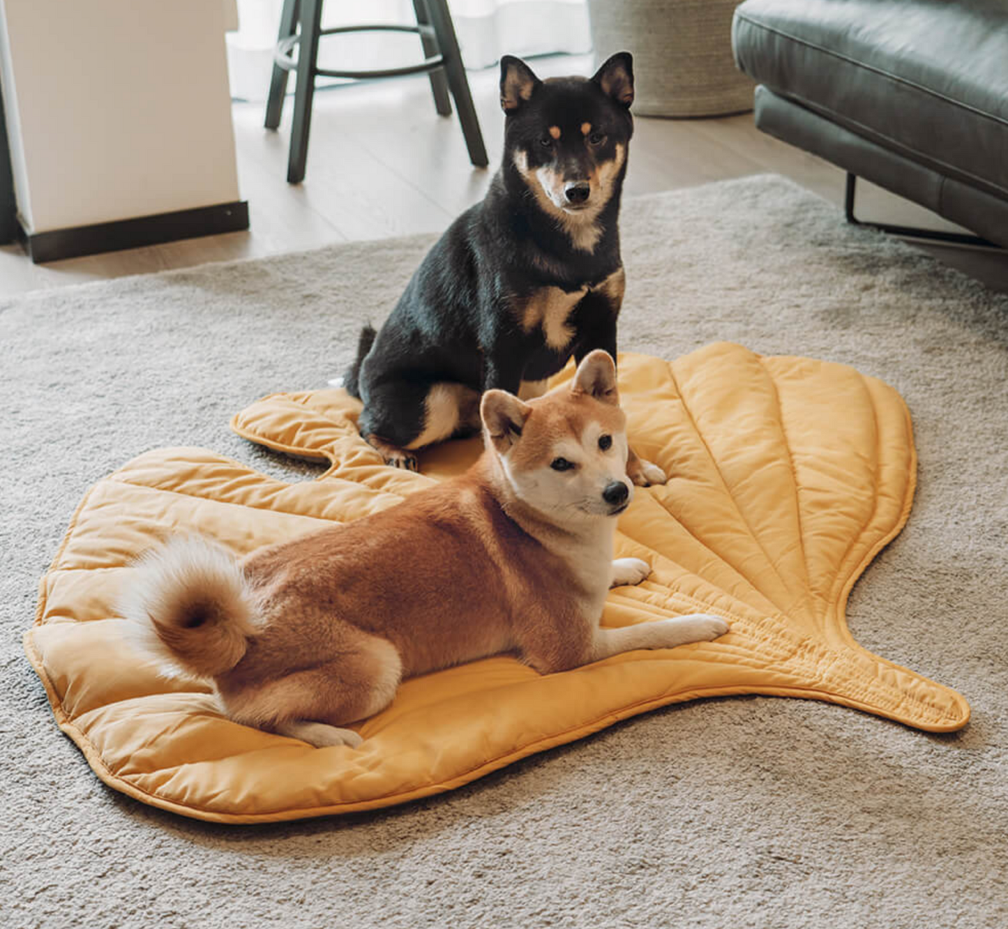 Leaf shape dog blanker