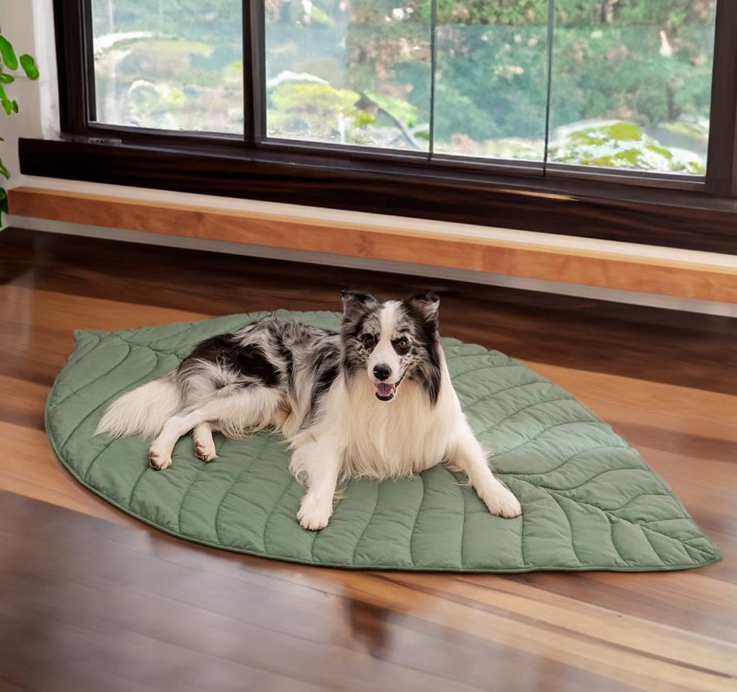 Leaf shape dog blanker